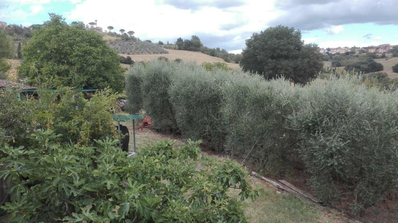 Agriturismo Cerquaglia Villa Todi Exterior photo